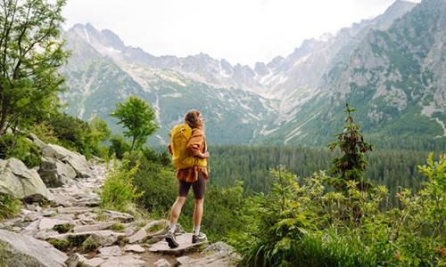 Hand crank ac generator for hiking